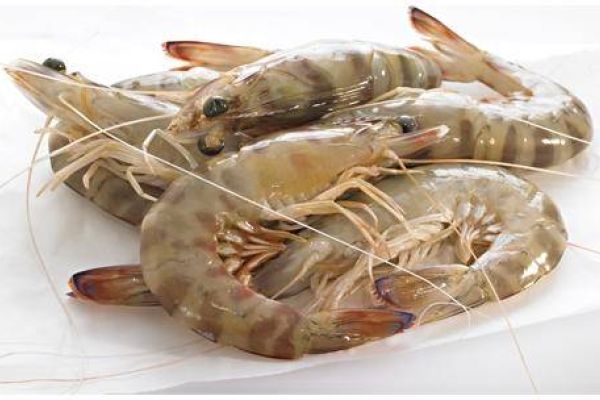 Llagostins