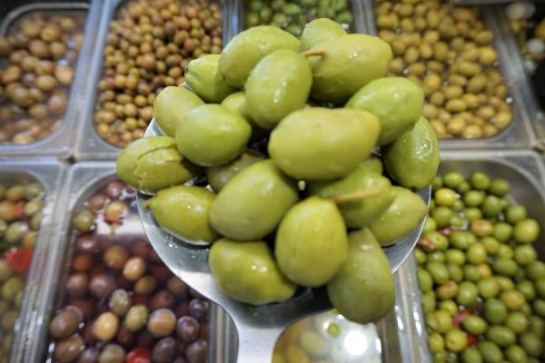 Aceituna Caspe, característica por su amargor y partida natural